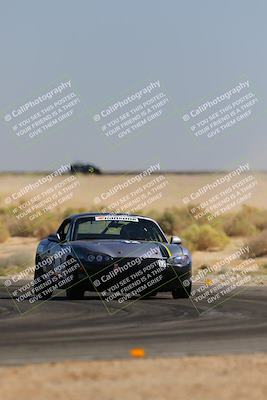 media/Oct-14-2023-Lucky Dog Racing (Sat) [[cef75db616]]/2nd Stint Turn 16/